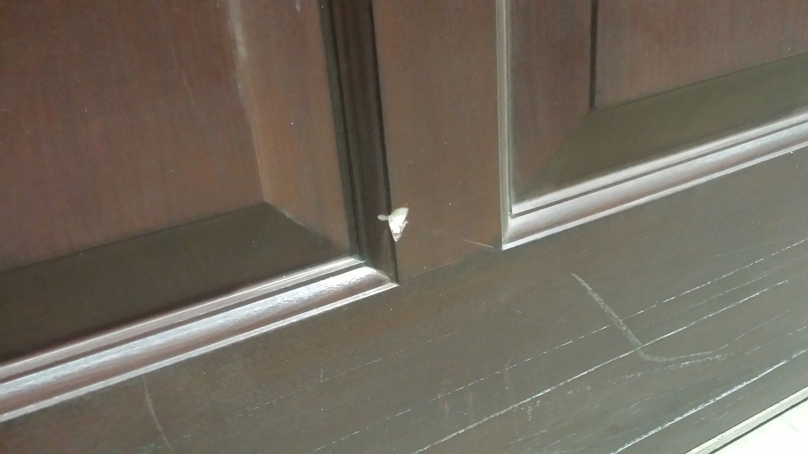 Apex Surrey Georgian in Mahogany