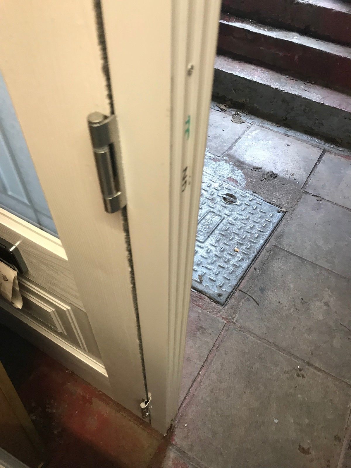 Rock Door Illinois in White