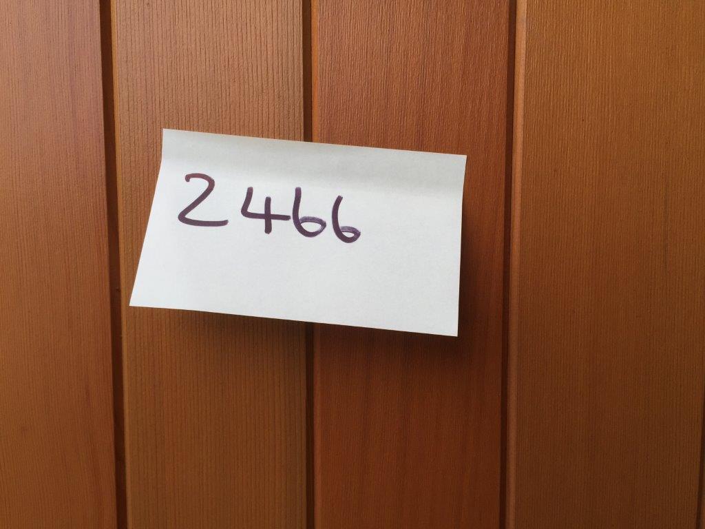 Hormann 2009 Vertically Ribbed in Light Oak